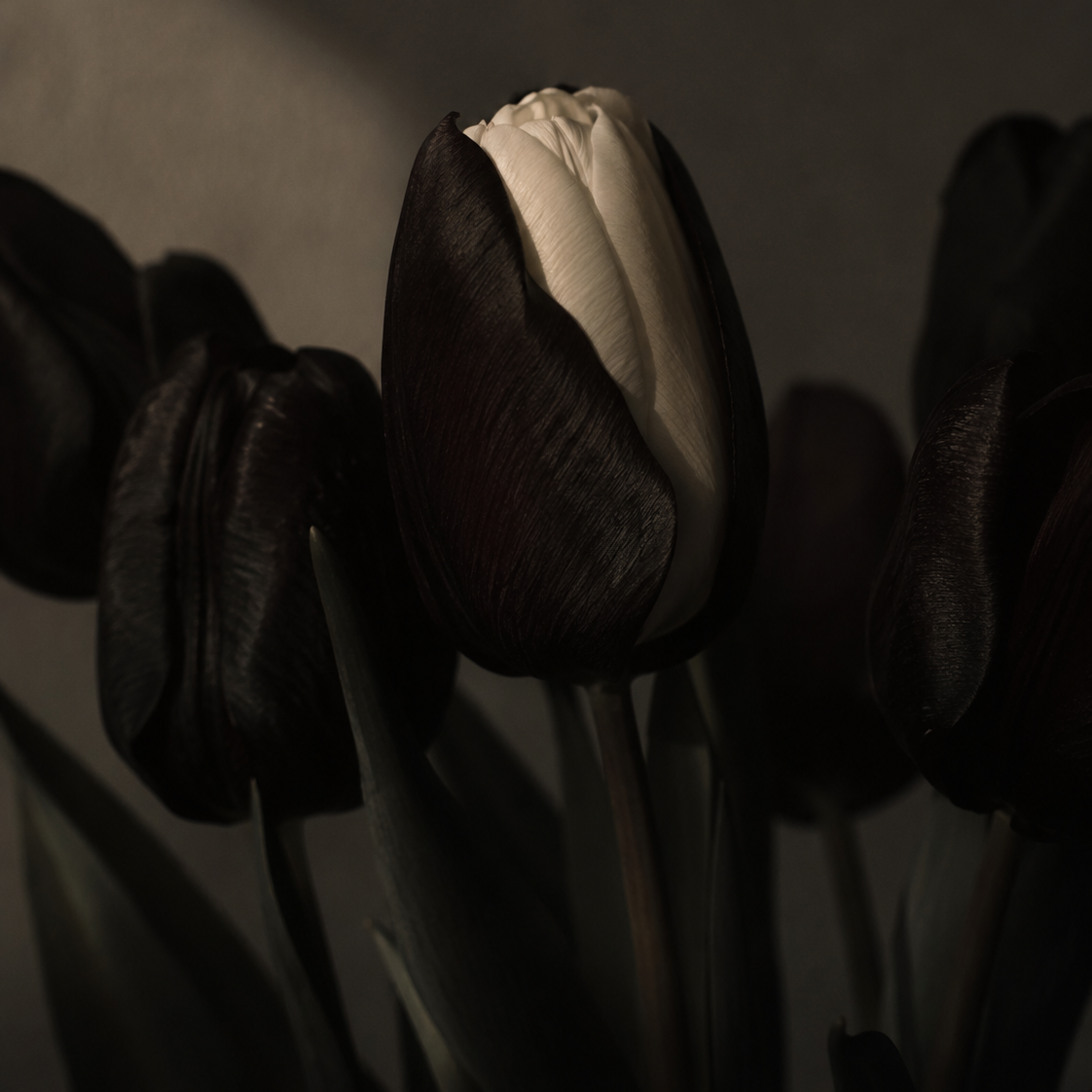 Hidden souls